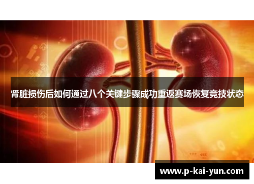肾脏损伤后如何通过八个关键步骤成功重返赛场恢复竞技状态