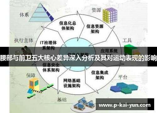 腰部与前卫五大核心差异深入分析及其对运动表现的影响