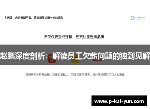赵鹏深度剖析：解读员工欠薪问题的独到见解