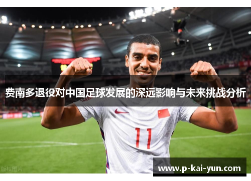 费南多退役对中国足球发展的深远影响与未来挑战分析