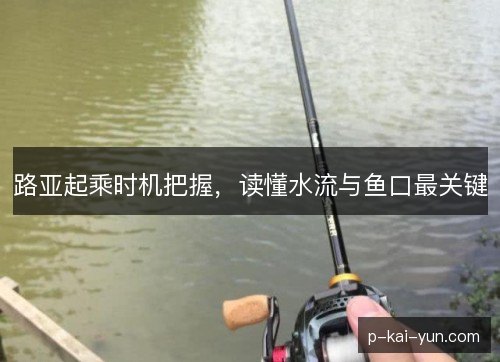 路亚起乘时机把握,读懂水流与鱼口最关键 路亚起乘时机把握,读懂水流与鱼口最关键